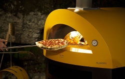 Vente Four à Bois pour Pizza à Pertuis, vers Aix-en-Provence